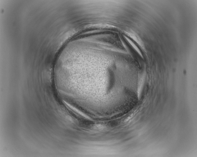 X0000088600111200706081402