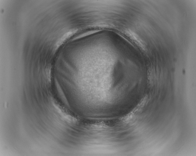 X0000088600112200706081402