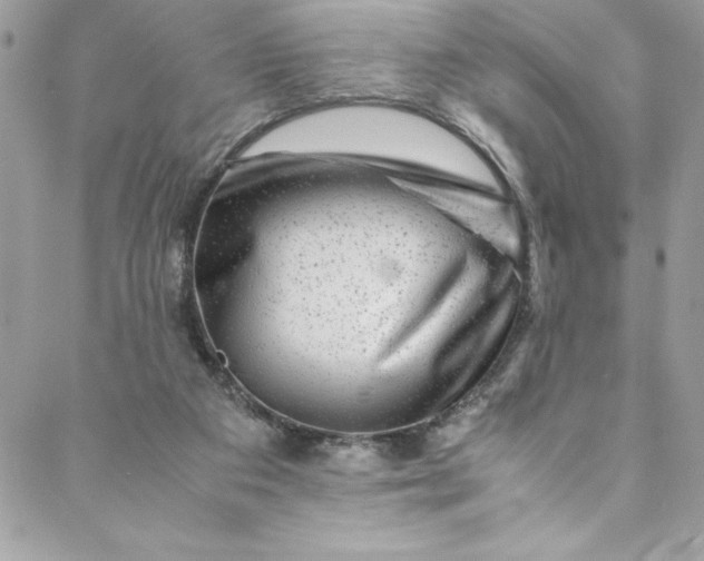 X0000088600113200706081402