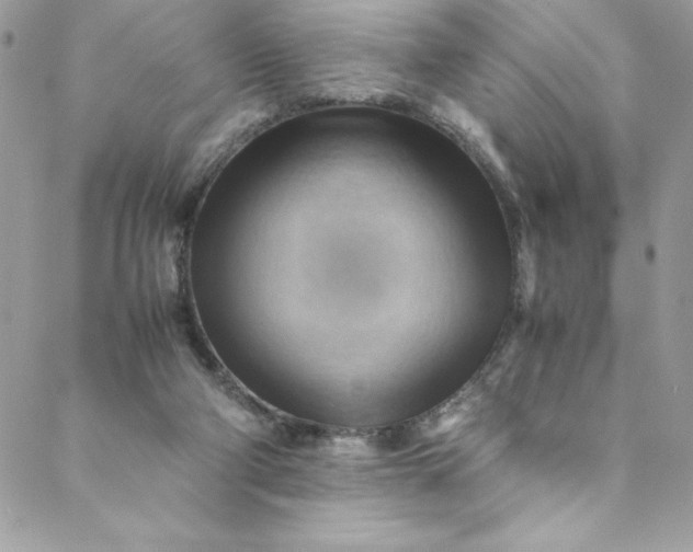 X0000088600114200706081402