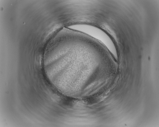 X0000088600115200706081402