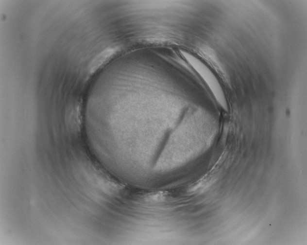 X0000088600116200706081402