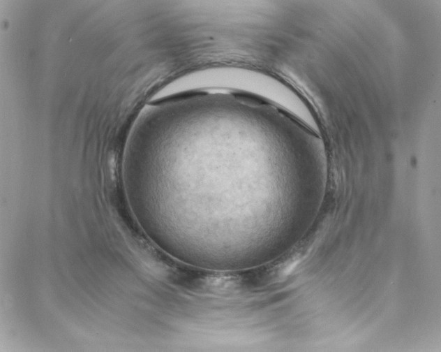 X0000088600117200706081402