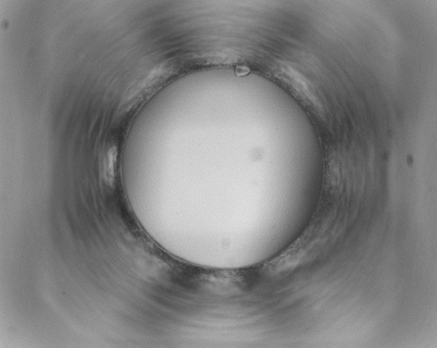 X0000088600118200706081402