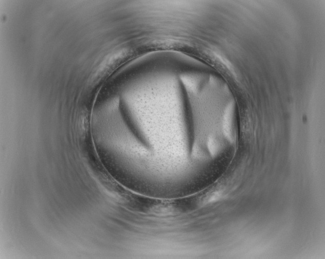 X0000088600119200706081402