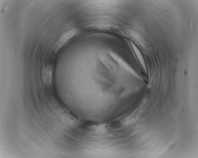 X0000088600120200706081402