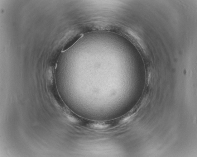 X0000088600121200706081402