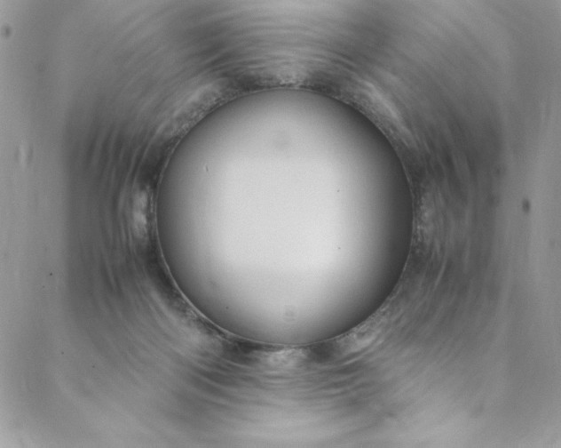 X0000088600122200706081402