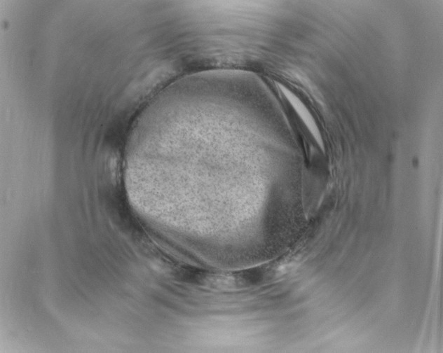 X0000088600123200706081402