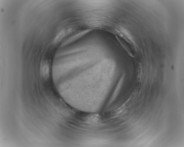 X0000088600124200706081402