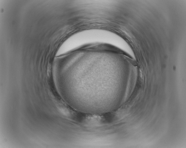 X0000088600125200706081402