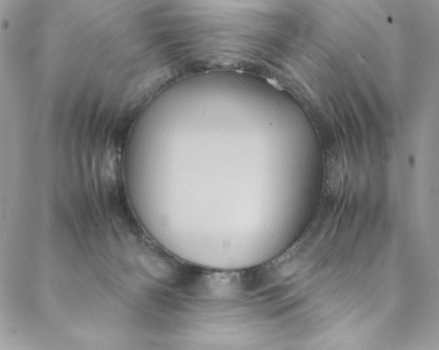 X0000088600126200706081402