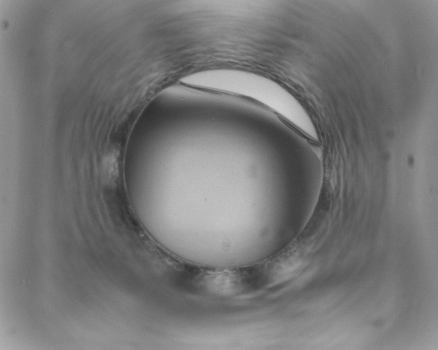 X0000088600127200706081402