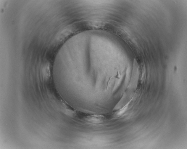 X0000088600128200706081402