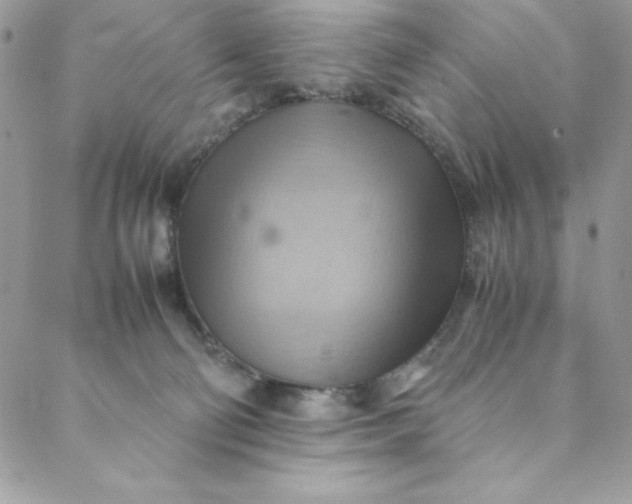 X0000088600130200706081402