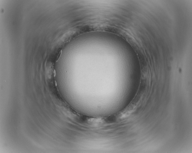 X0000088600133200706081402