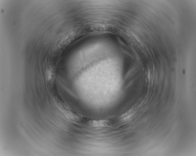 X0000088600134200706081402