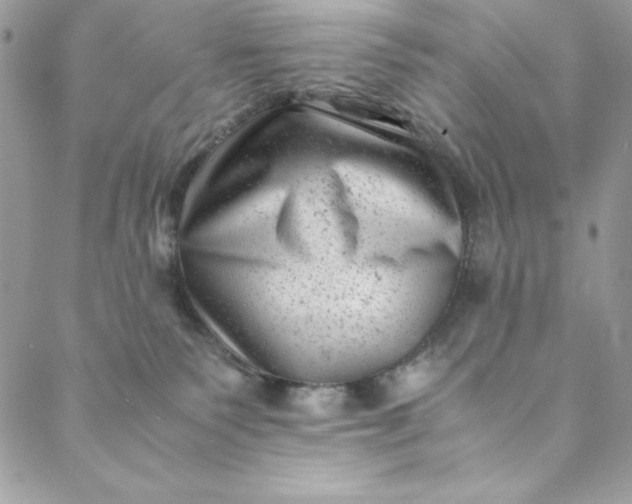 X0000088600135200706081402