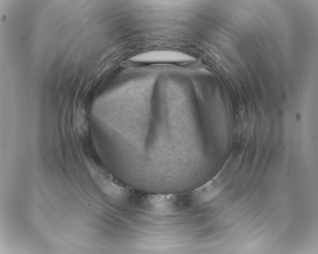 X0000088600136200706081402