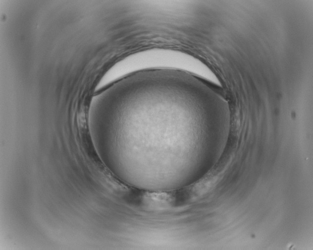 X0000088600137200706081402