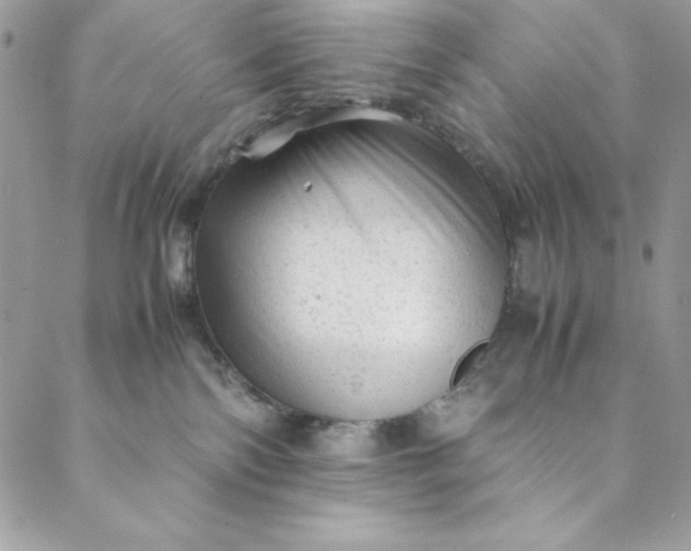 X0000088600138200706081402