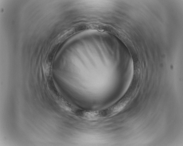 X0000088600139200706081402