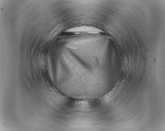 X0000088600140200706081402