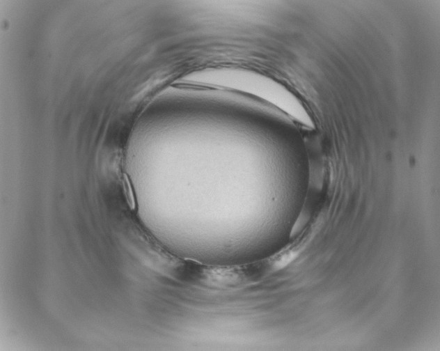 X0000088600141200706081402