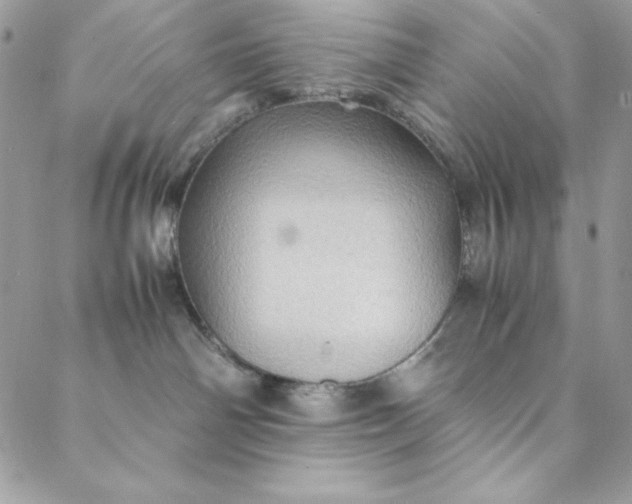 X0000088600142200706081402