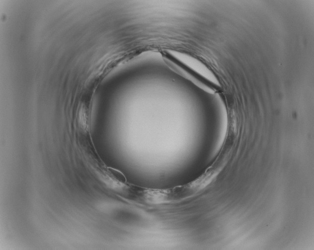 X0000088600143200706081402