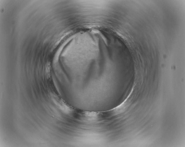 X0000088600144200706081402