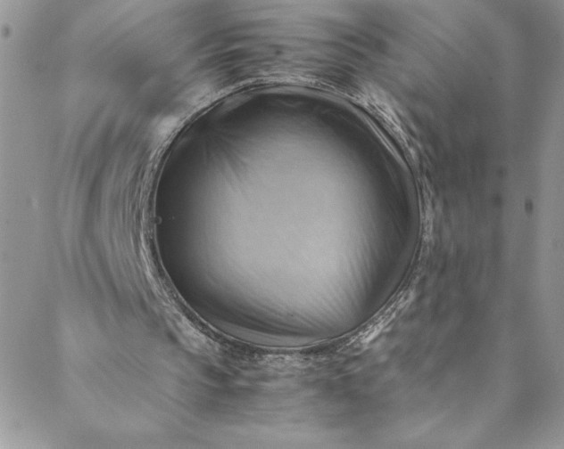 X0000088600145200706081401