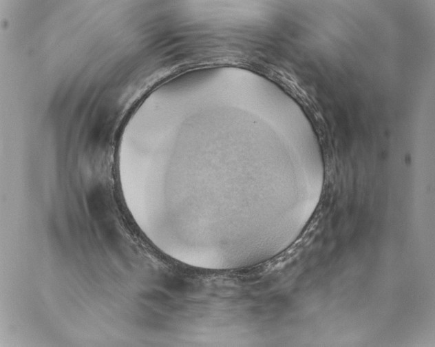 X0000088600146200706081401