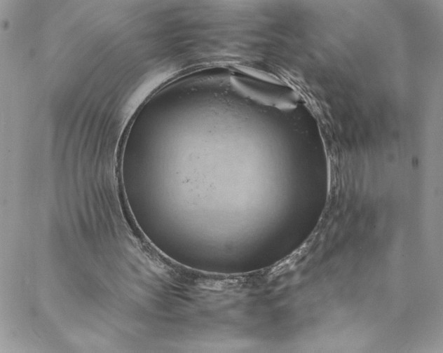 X0000088600147200706081401