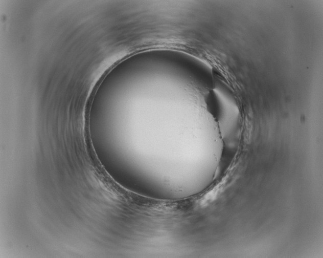 X0000088600148200706081401