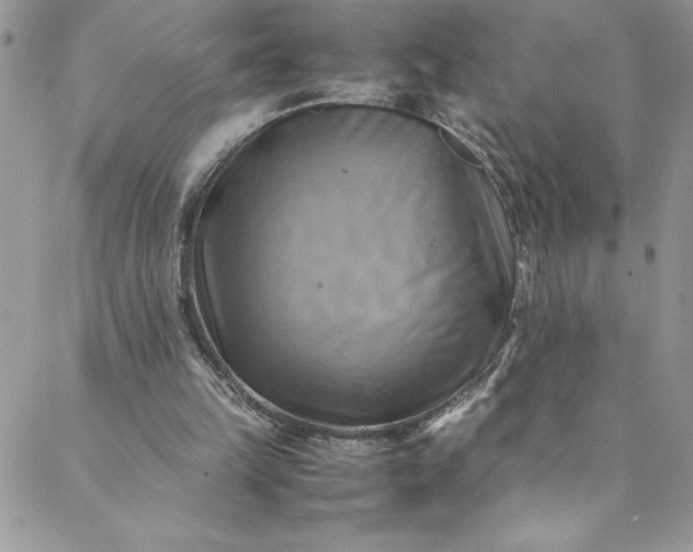 X0000088600149200706081401