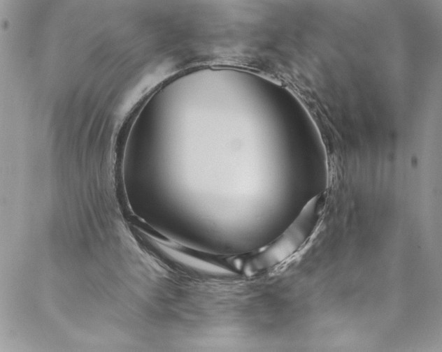 X0000088600150200706081401