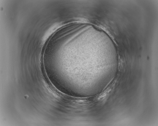 X0000088600151200706081401