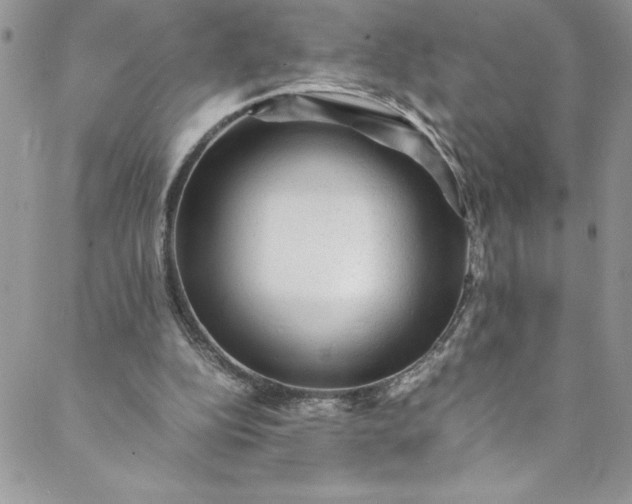 X0000088600152200706081401