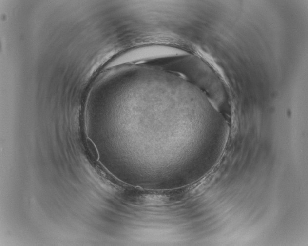 X0000088600154200706081401