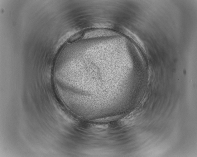 X0000088600155200706081401