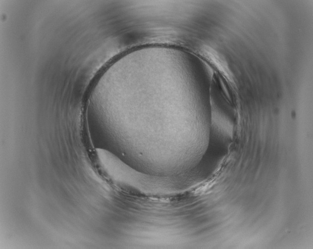 X0000088600156200706081401