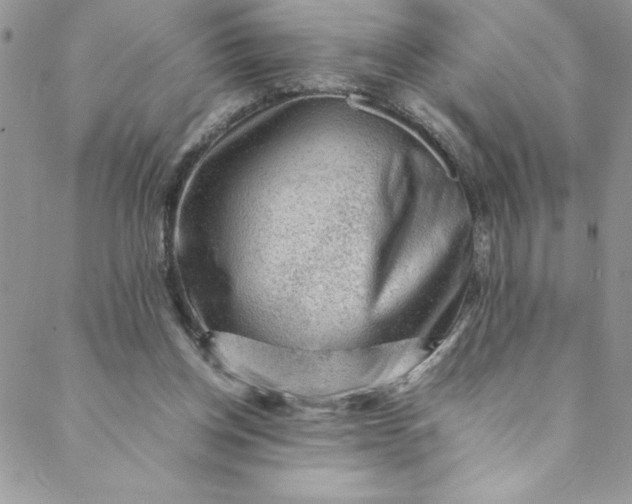 X0000088600158200706081401