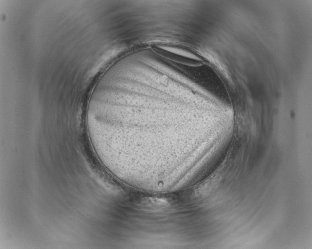 X0000088600159200706081401