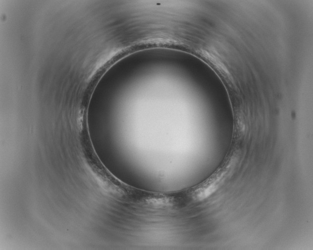 X0000088600160200706081401