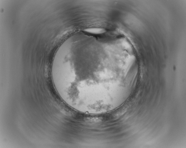 X0000088600161200706081401