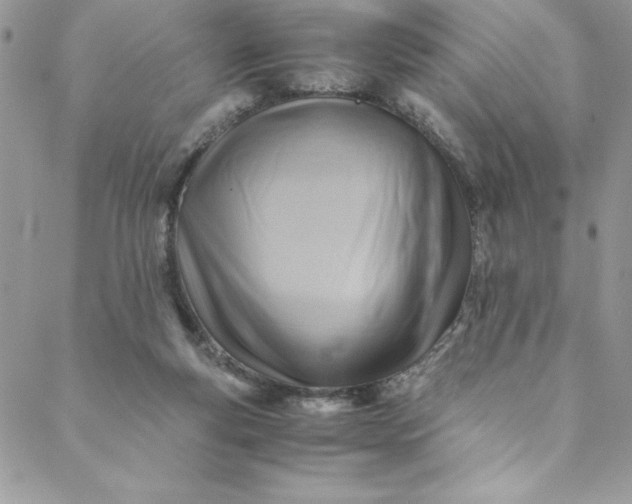 X0000088600163200706081401