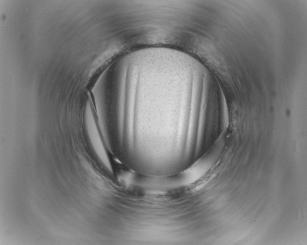 X0000088600164200706081401