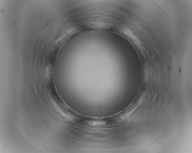 X0000088600165200706081402