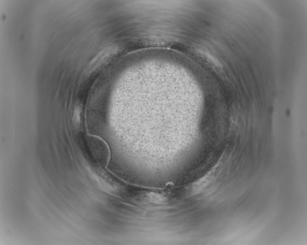 X0000088600166200706081402